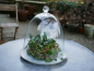 Mobile Preview: Garden Bell  Glasglocke